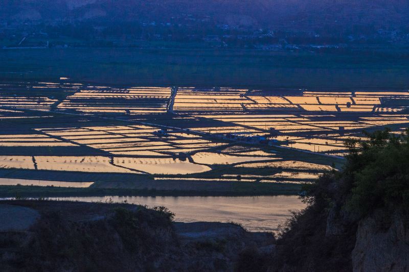 Yellow River Wetland Scenic Area Photos Photos Of Heyang Attractions