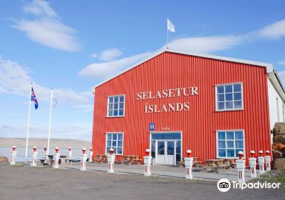 The Icelandic Seal Centre