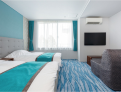 room overview picture