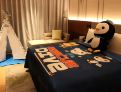 room overview picture