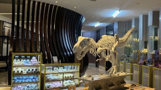 hilton-foshan