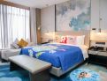 room overview picture