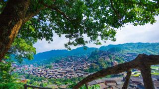 xijiang-flower-blooming-pinellia-panoramic-guesthouse