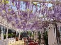 qunsheng-lizilin-homestay