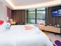 room overview picture