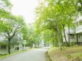 resort-villa-takayama