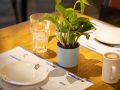 ranz-hotel-shenzhen-nanshan-coastal-city-