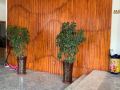 dalian-yilv-sunshine-inn