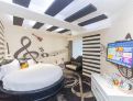 room overview picture