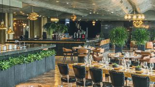 the-macau-roosevelt