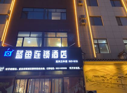 藍魚連鎖飯店(定興文化廣場三中店)