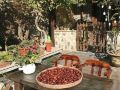 deshe-courtyard-hot-spring-homestay