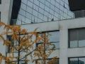 ascott-raffles-city-chengdu