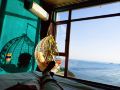 shengsi-wolfberry-shengshan-island-youth-hostel