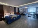 room overview picture