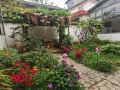 lijiang-baisha-ancient-town-juyuanqi-inn