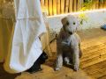 jiangnan-homestay