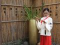 tongtang-guesthouse
