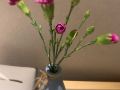 shenzhen-nanyou-ranze-hotel