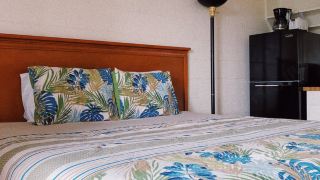 hilo-reeds-bay-hotel