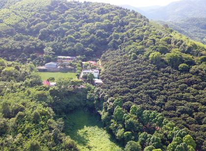 博羅羅浮山莫洞果園農莊