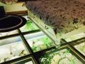 wuhan-jiuzhen-inn