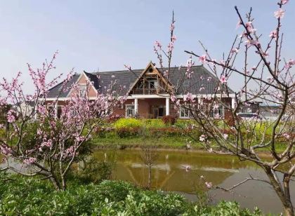 Rainbow Villa