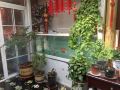 北京谷田有蛙欣桐农家院