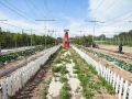 agrilandia-italian-farm