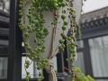 xiangbei-mountain-house