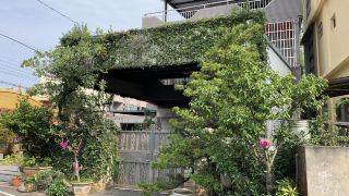 greenhouse-homestay