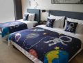 room overview picture