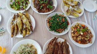 保定白洋淀淀中农家院-包食宿三餐可钓鱼-6号店
