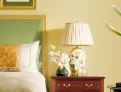 room overview picture