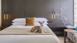 kimpton-shinjuku-tokyo
