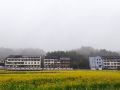温州松果家特色民宿