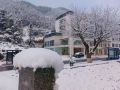 huangshan-jingyu-shuhuajian-homestay