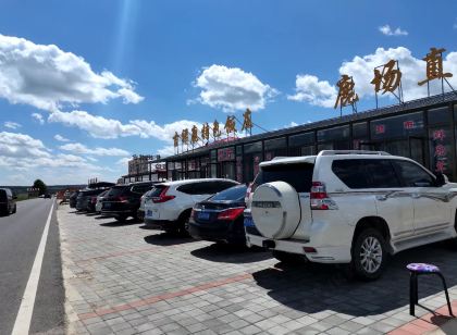 塞罕壩吉祥鹿客棧(承德圍場御道口草原景區店)