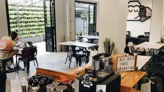 blu-monkey-hub-and-hotel-suratthani