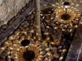 yunzhao-mountain-homestay