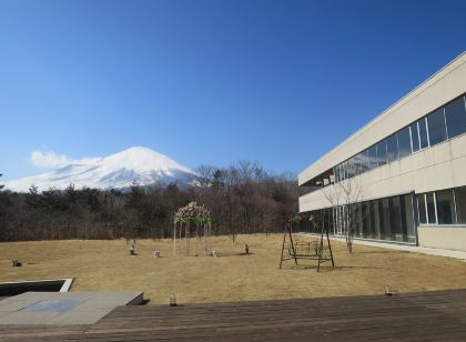 Dadu Fuji Resort Hot Spring