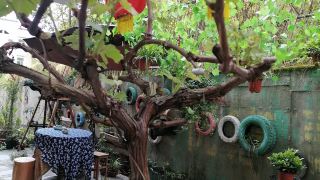 wenjunge-boutique-hostel