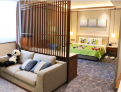 room overview picture