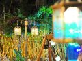 gangdaowei-homestay