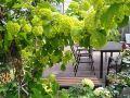 shanghai-taoyuan-renjia-homestay