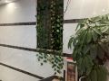 menghuan-theme-apartment-guangzhou-tongtai-road