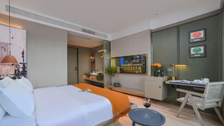 shenzhen-baoan-airport-lanzi-international-hotel