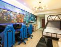 room overview picture