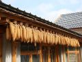 天路源泉小院