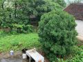 shanghai-xiumu-farm-fun